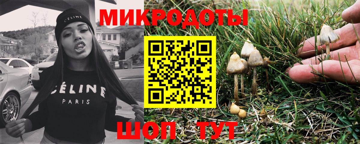 купить наркотики цена  Псилоцибиновые грибы Psilocybine cubensis  Вход с VPN  Пугачёв 